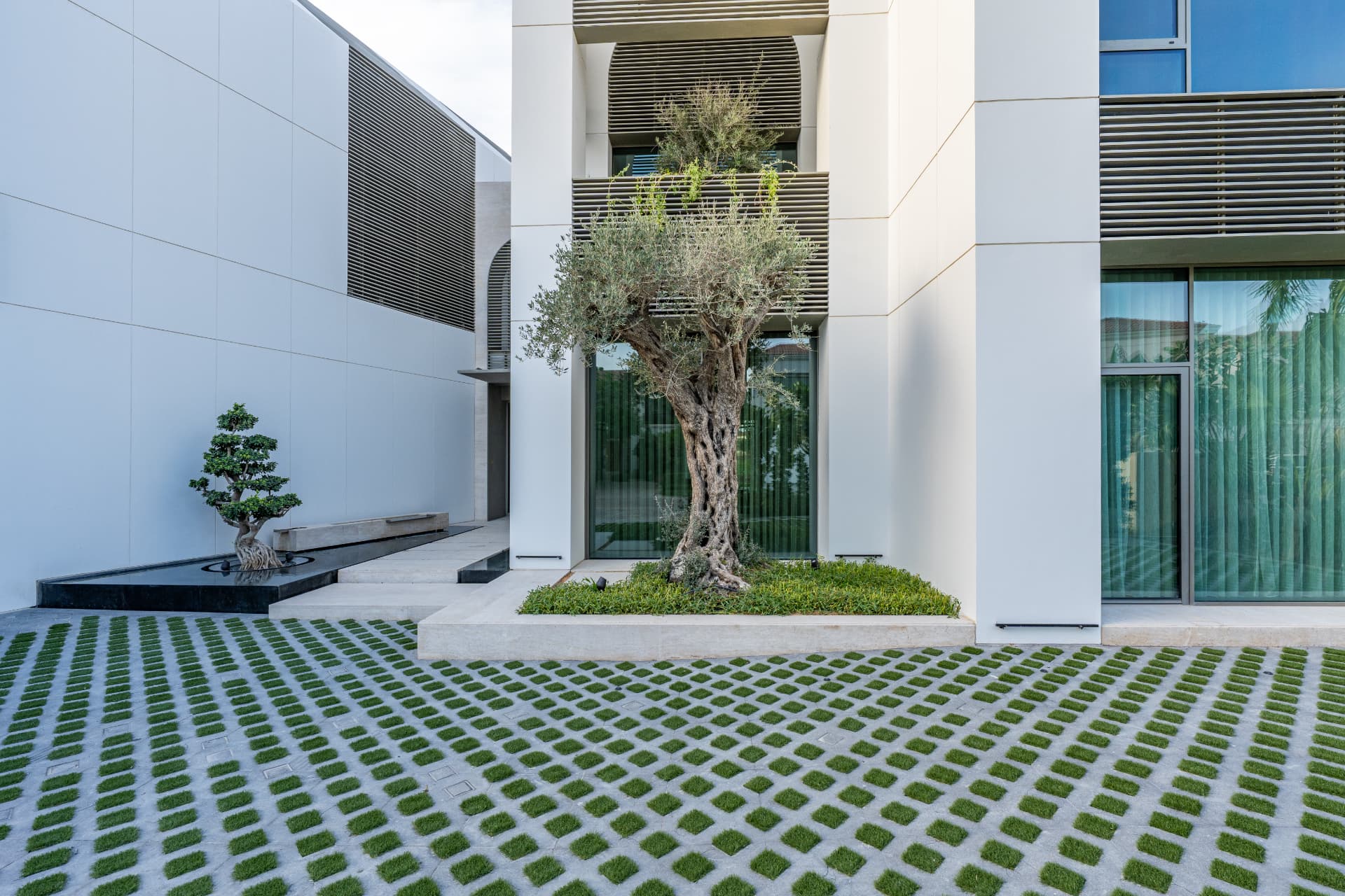 K82 entrance court with mature olive tree in a planted bed, black water feature and grass-jointed paving